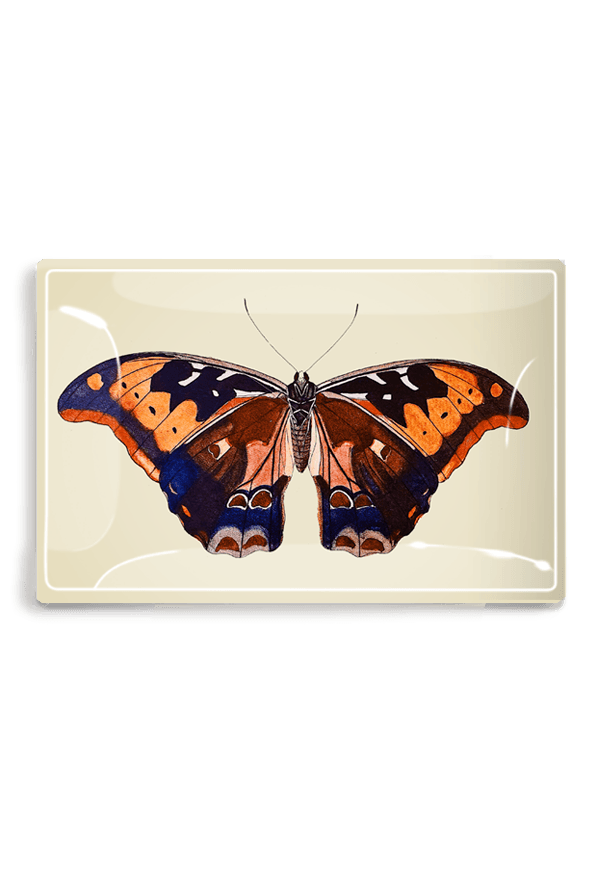 Barbados Butterfly Decoupage Glass Tray - Bensgarden.com