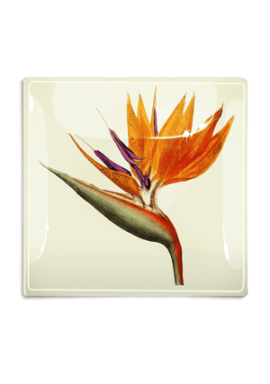 Bird Of Paradise Decoupage Glass Tray - Bensgarden.com