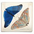 Blue Butterfly Pair Decoupage Glass Tray - Bensgarden.com