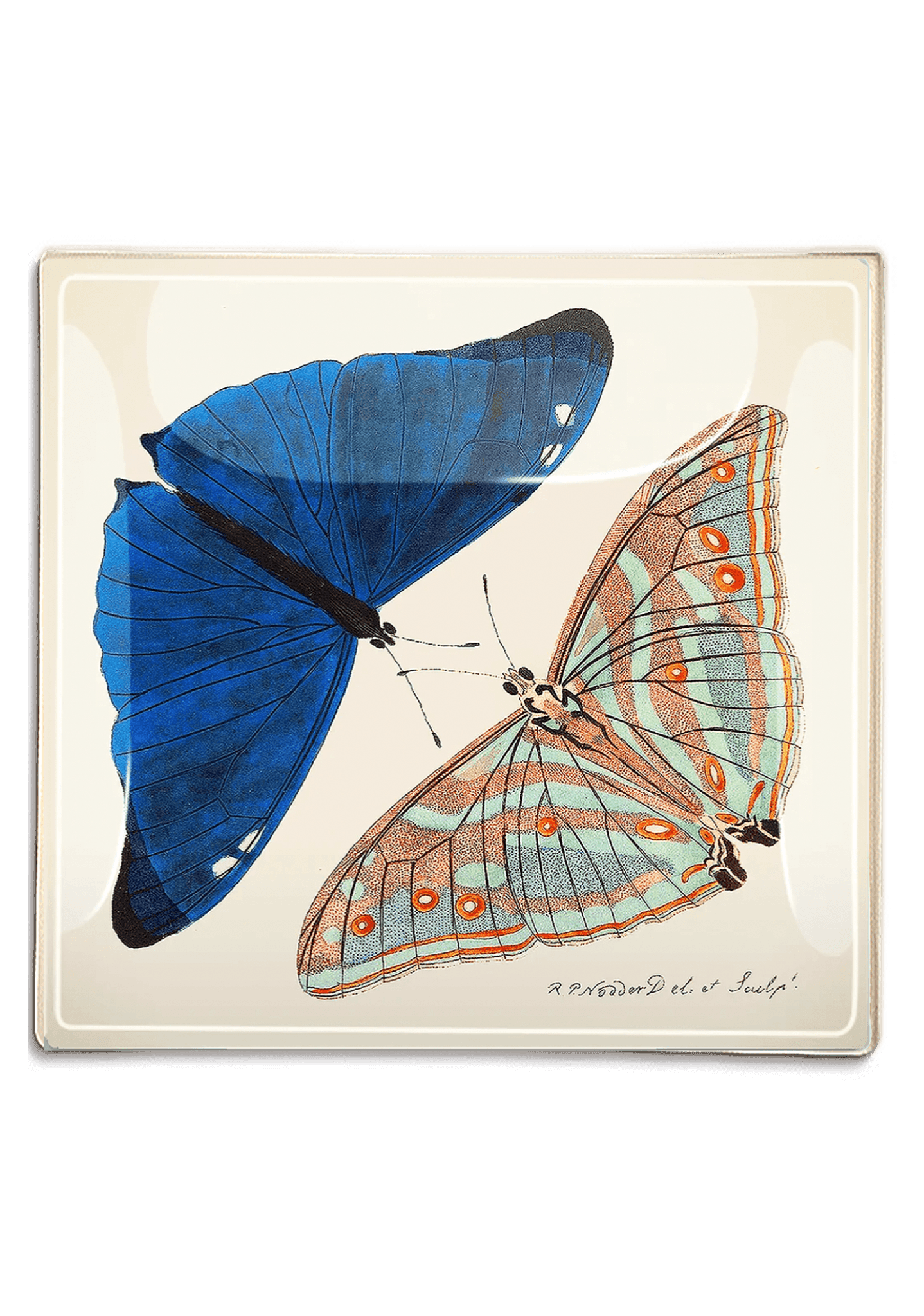 Blue Butterfly Pair Decoupage Glass Tray - Bensgarden.com