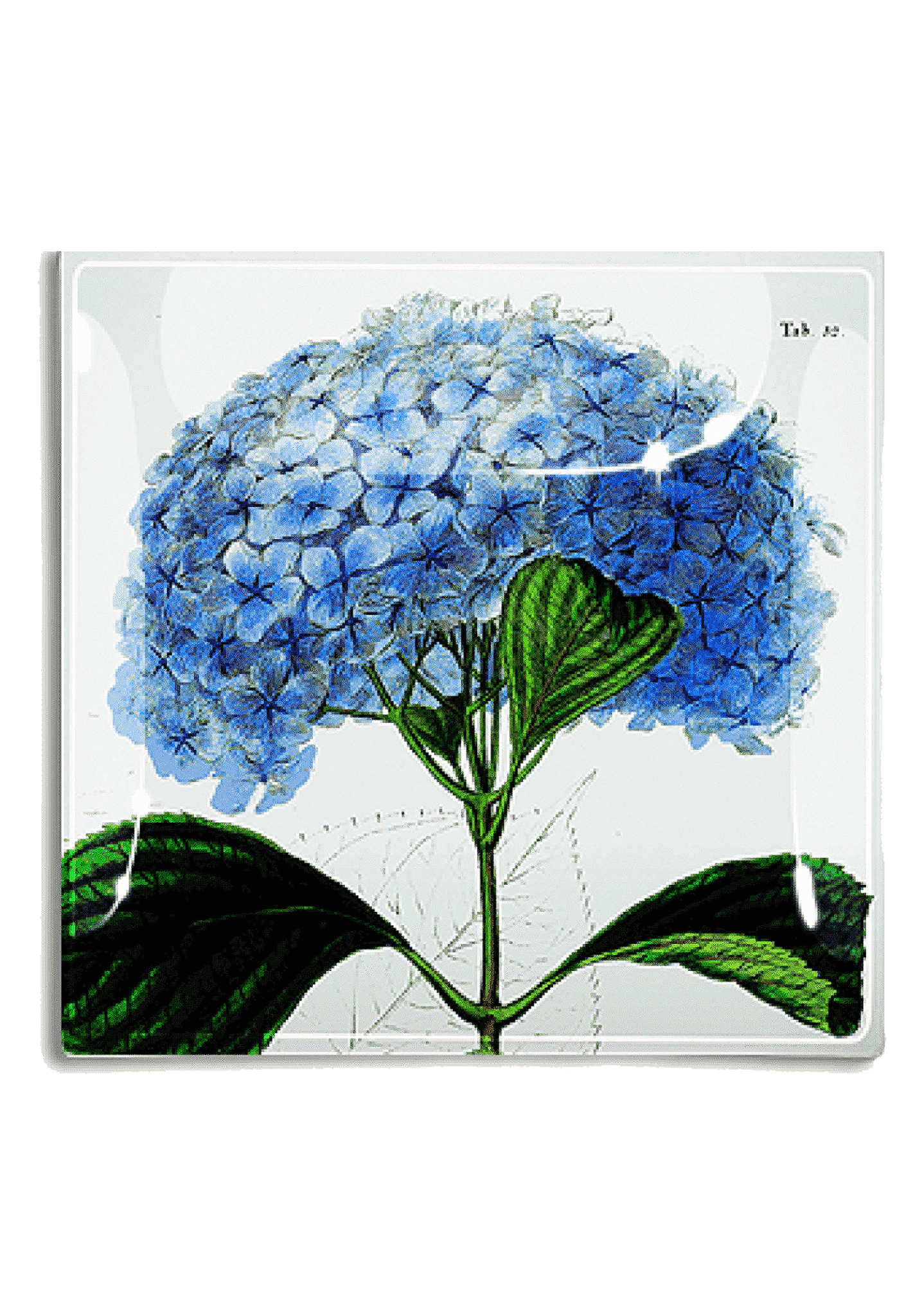 Blue Hydrangea Decoupage Glass Tray - Bensgarden.com