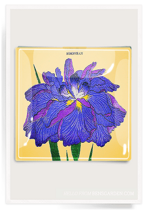 Blue Iris Blossom Decoupage Glass Tray - Bensgarden.com