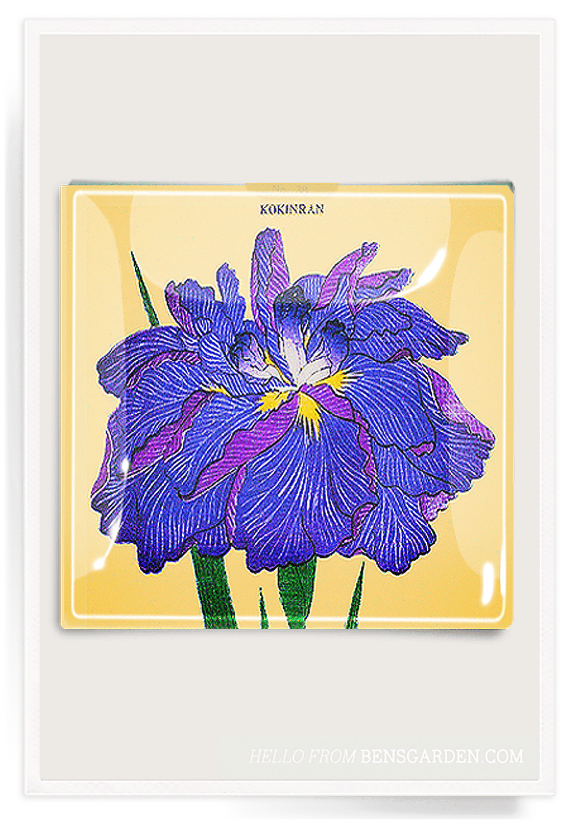 Blue Iris Blossom Decoupage Glass Tray - Bensgarden.com