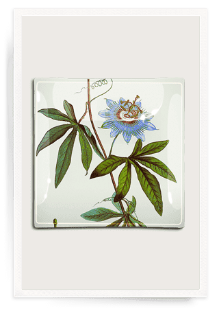 Blue Passion Flower Decoupage Glass Tray - Bensgarden.com