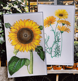 Bright Sunflower Decoupage Glass Tray - Bensgarden.com