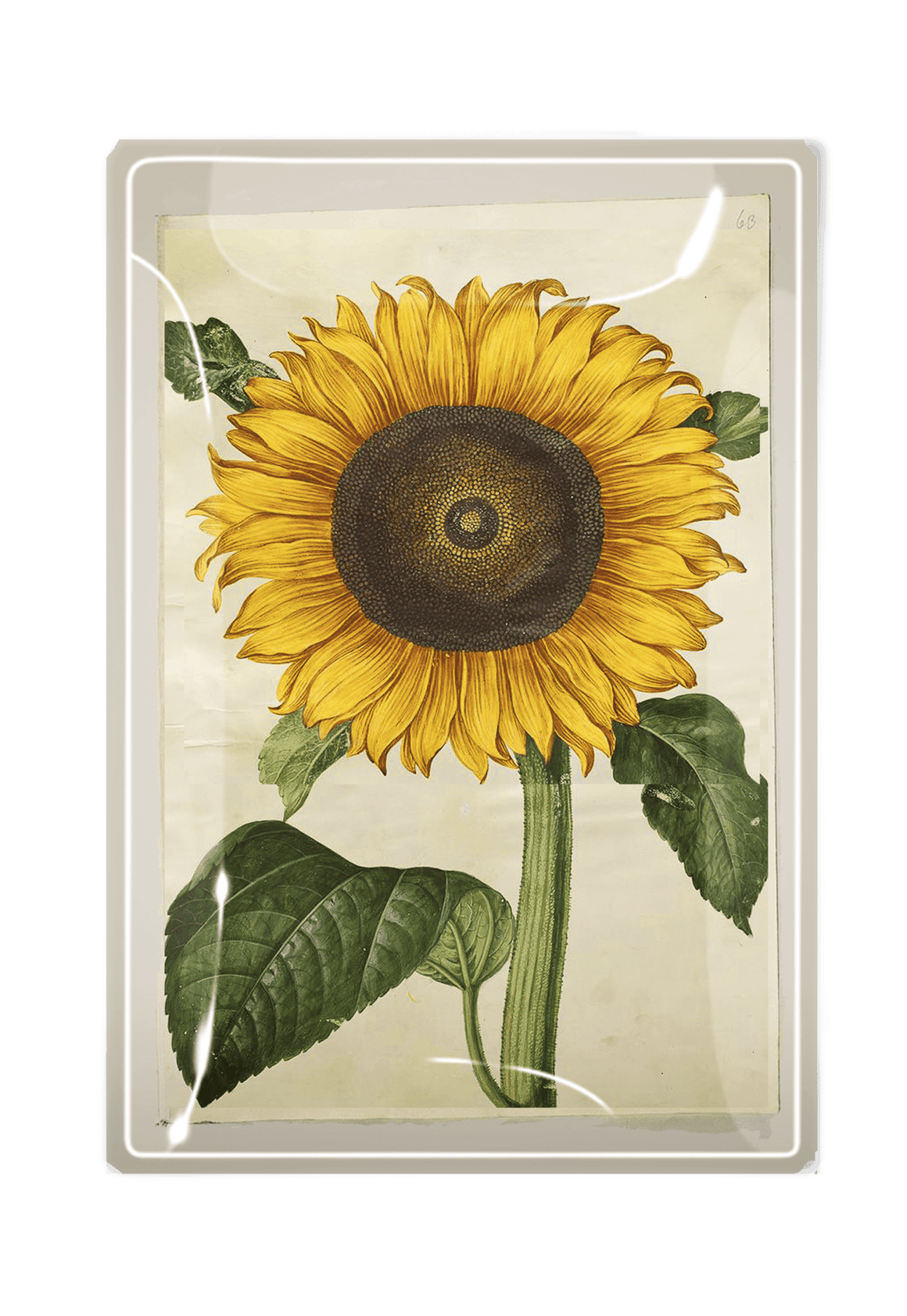 Bright Sunflower Decoupage Glass Tray - Bensgarden.com