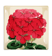 C.Z. Guest Red Geranium Decoupage Glass Tray - Bensgarden.com