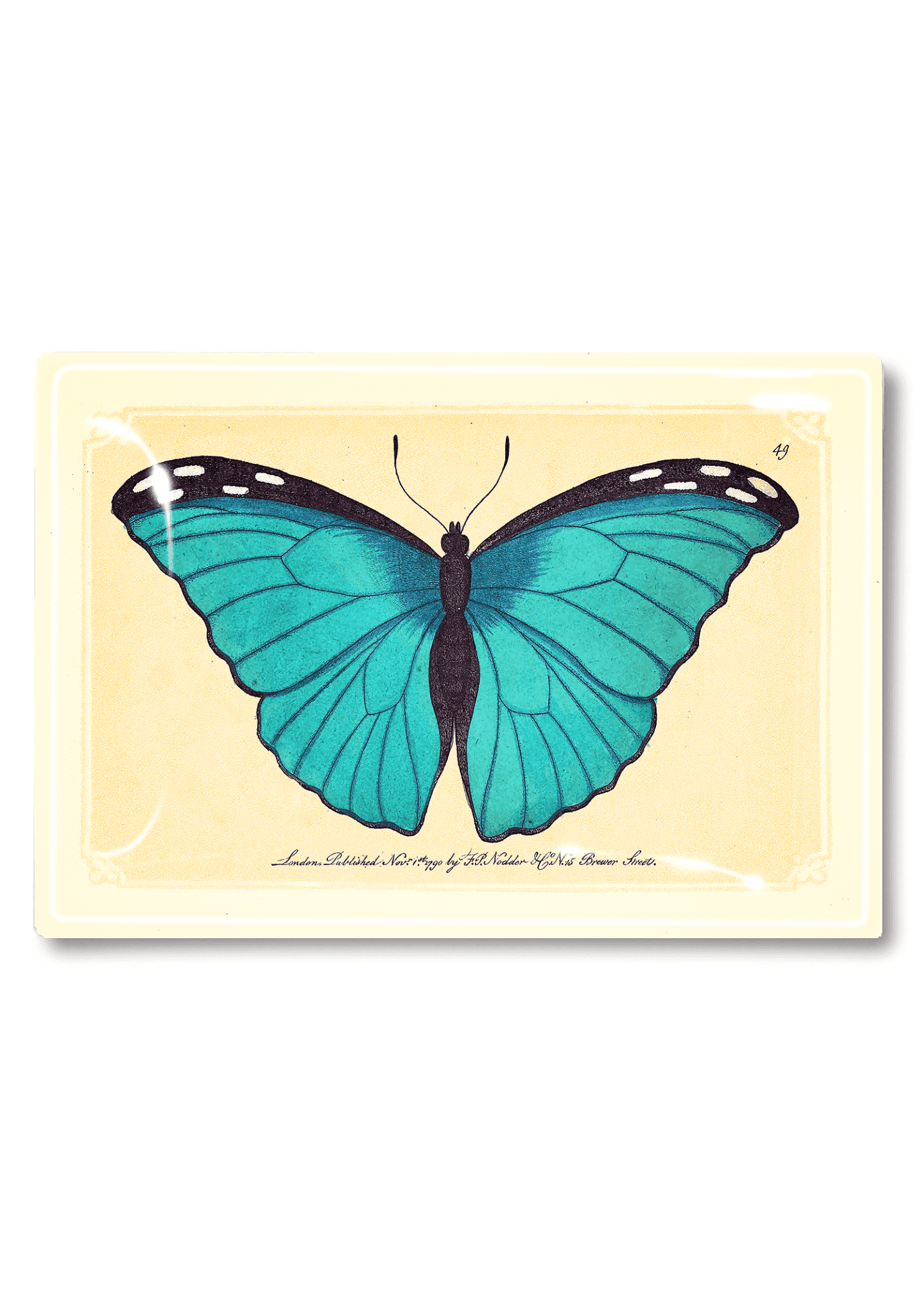 Capri Blue Butterfly Decoupage Glass Tray - Bensgarden.com