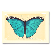 Capri Blue Butterfly Decoupage Glass Tray - Bensgarden.com