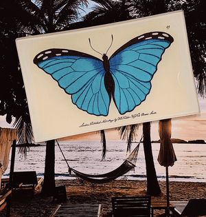 Capri Blue Butterfly Decoupage Glass Tray - Bensgarden.com