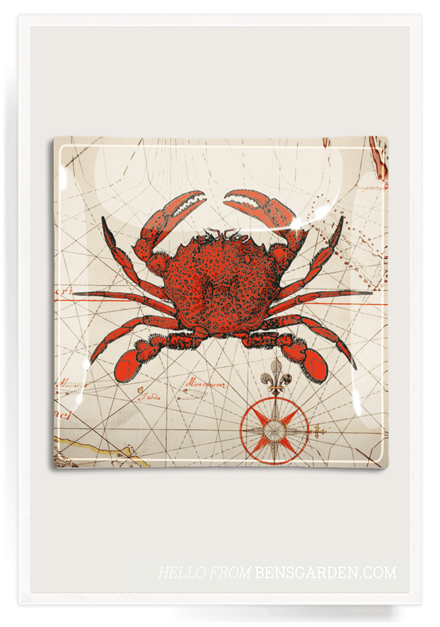 Chesapeake Crab Decoupage Glass Tray - Bensgarden.com