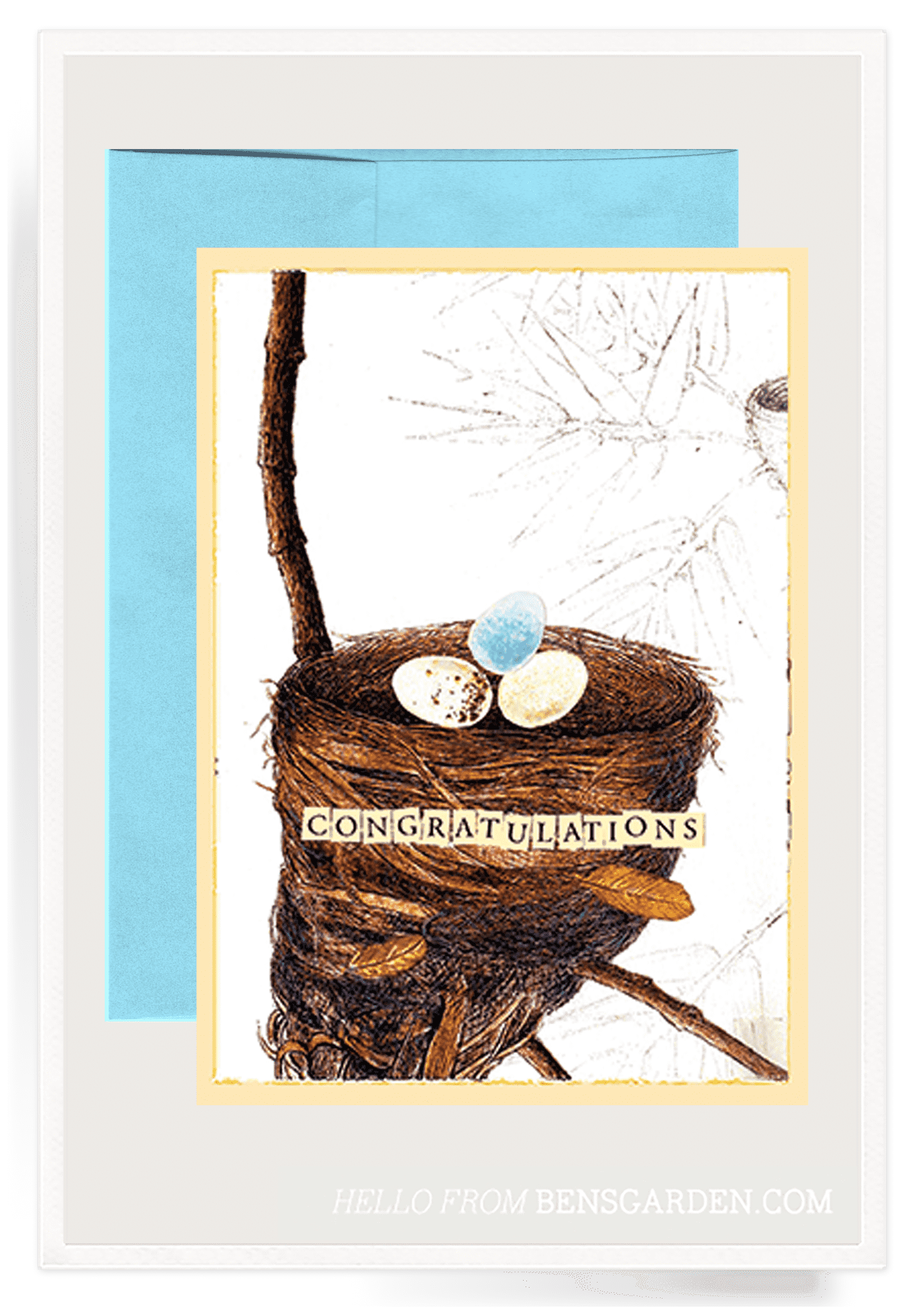 Congratulations Nest Folded Greeting Card - Bensgarden.com