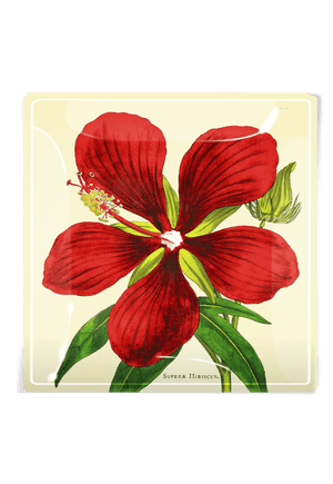 Crimson Hibiscus Flower Decoupage Glass Tray - Bensgarden.com