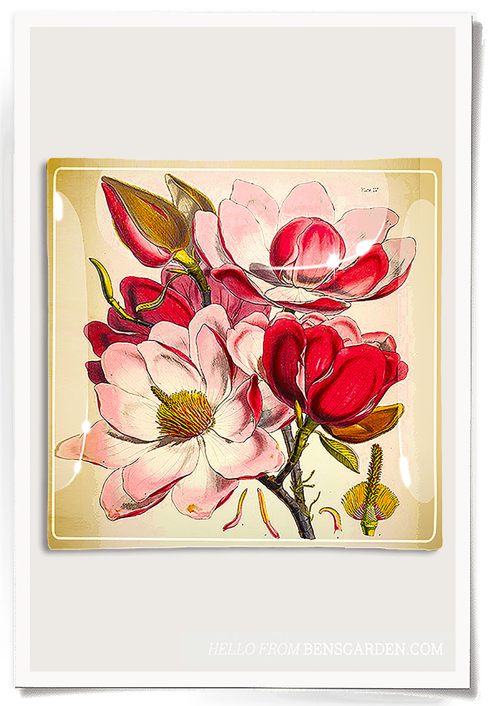 Emilie Pink Magnolia Decoupage Glass Tray - Bensgarden.com