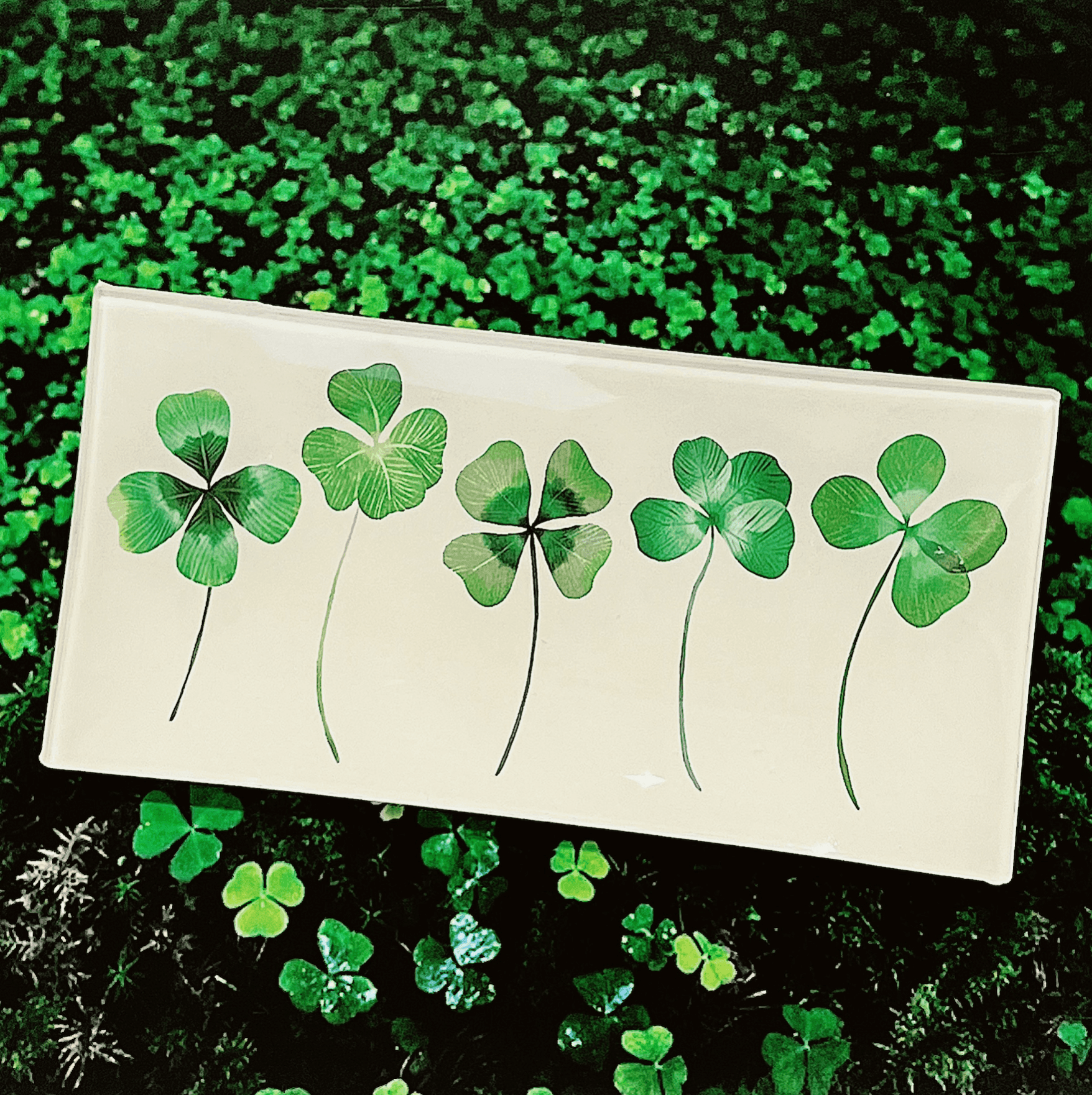 Five Lucky Clovers Decoupage Glass Tray - Bensgarden.com