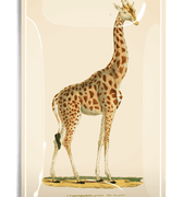 Giraffe "Geoffrey" Decoupage Glass Tray - Bensgarden.com