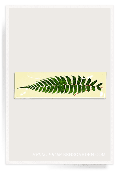 Hadley Fern Frond Decoupage Glass Tray - Bensgarden.com