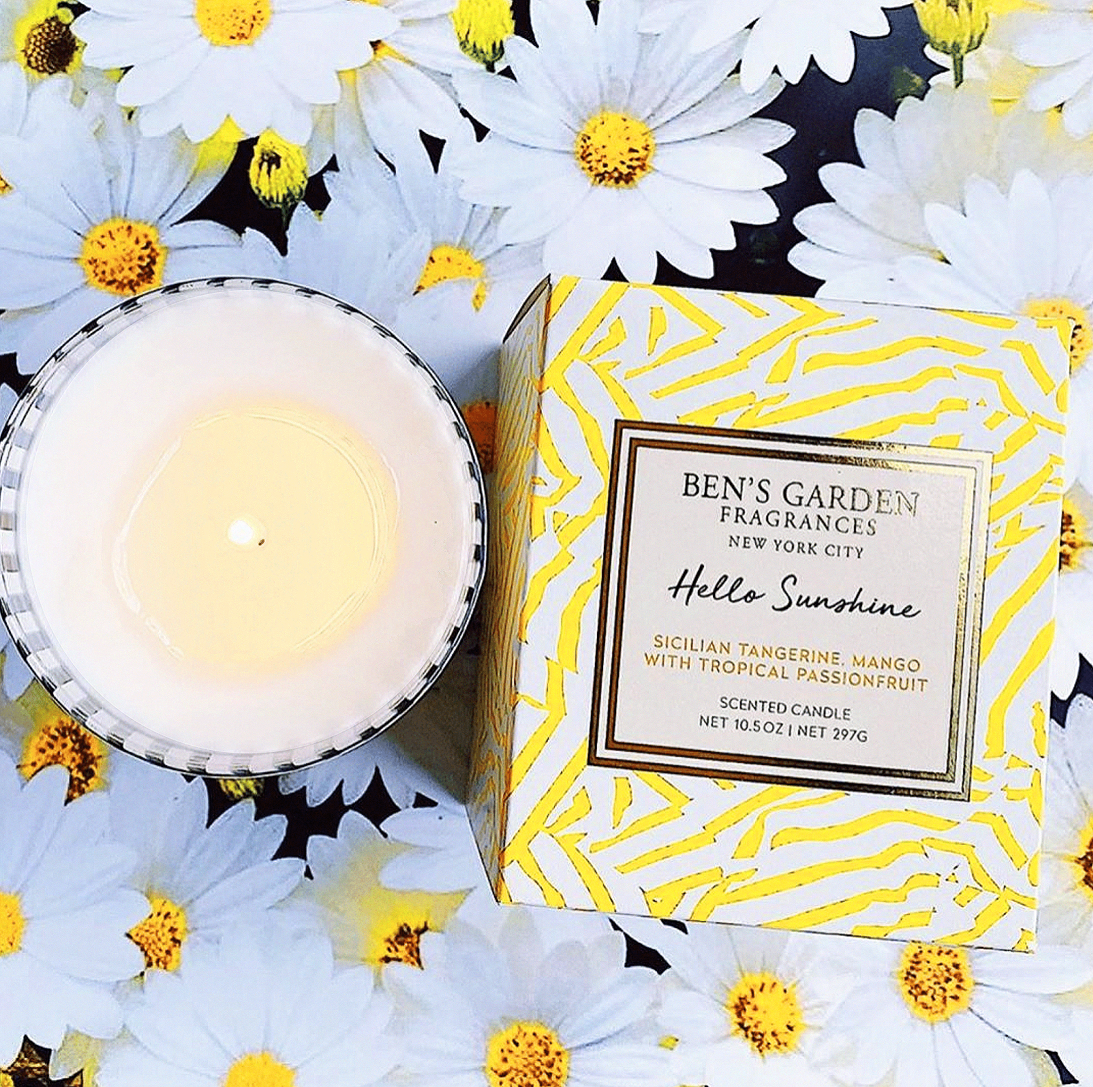 Hello Sunshine, Artisan Scented 10.5 oz. Signature Candle - Bensgarden.com