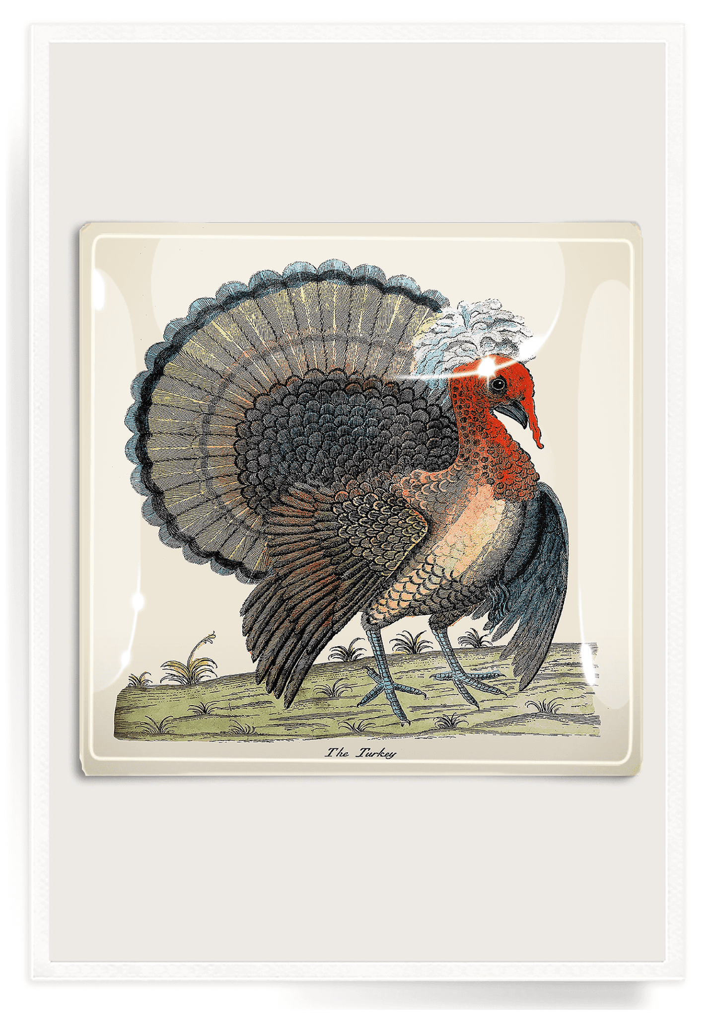 Heritage Oyster Bay Turkey Decoupage Glass Tray - Bensgarden.com