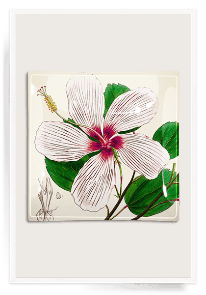 Hibiscus Genevii Decoupage Glass Tray - Bensgarden.com
