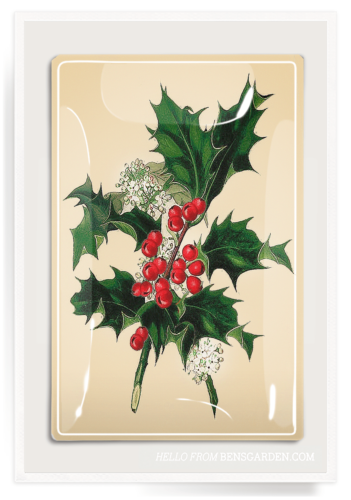 Holly And Berries Decoupage Glass Tray - Bensgarden.com