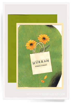 Bensgarden.com | Hurrah Sunflowers Folded Greeting Card - Ben's Garden. Made in New York City.