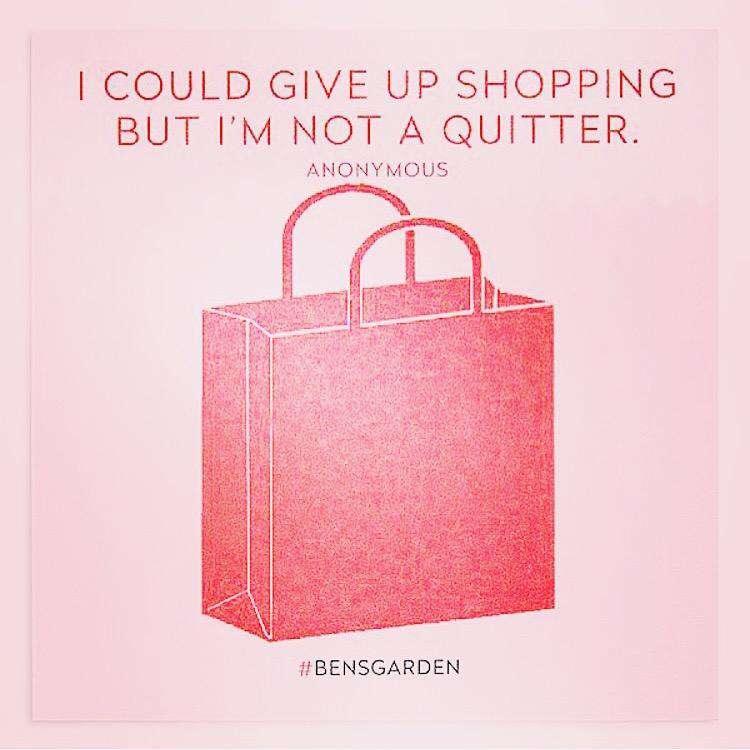 I Could Quit Shopping But I'm Not A Quitter Scribble-It Stickies Pad - Bensgarden.com