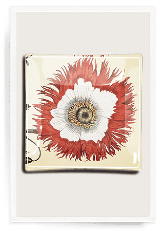 Lace Poppy Decoupage Glass Tray - Bensgarden.com