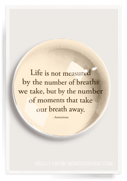 Life Is Not Measured French Crystal Dome Paperweight - Bensgarden.com