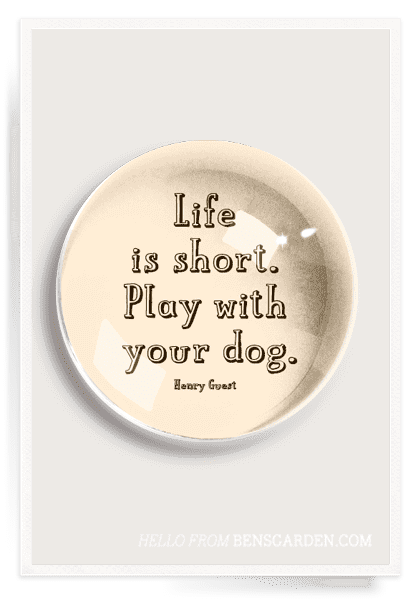 Life Is Short. Play With Your Dog French Crystal Dome Paperweight - Bensgarden.com