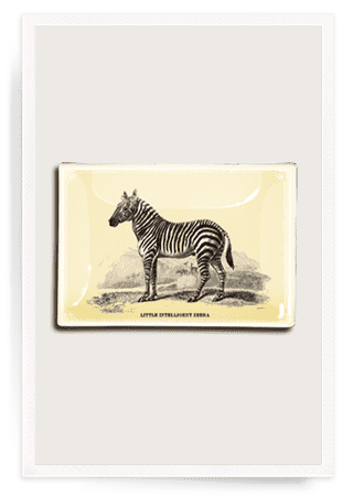 Little Intelligent Zebra Decoupage Glass Tray - Bensgarden.com