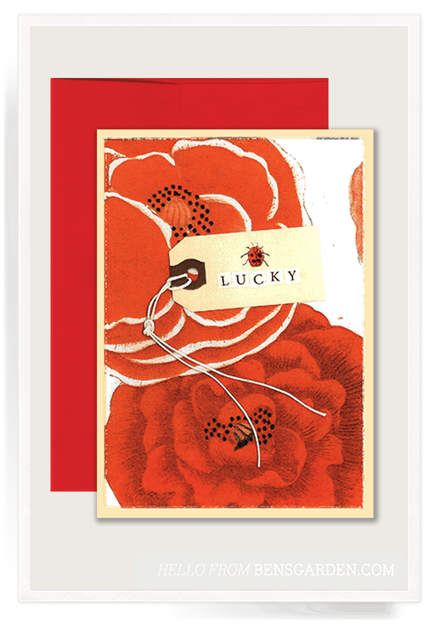 Lucky Ladybug Folded Greeting Card - Bensgarden.com