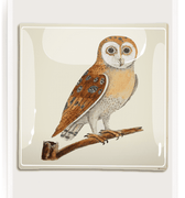 Owl Hoot Decoupage Glass Tray - Bensgarden.com