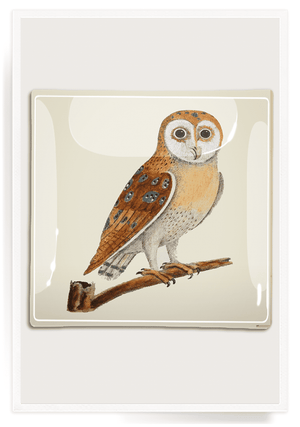 Owl Hoot Decoupage Glass Tray - Bensgarden.com