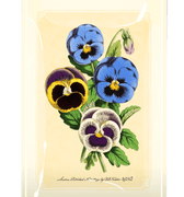 Pansy Bouquet Decoupage Glass Tray - Bensgarden.com