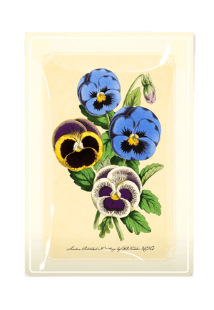 Pansy Bouquet Decoupage Glass Tray - Bensgarden.com