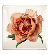 Peach Peony Specimen Decoupage Glass Tray - Bensgarden.com