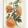 Peach Rose Blossoms Decoupage Glass Tray - Bensgarden.com