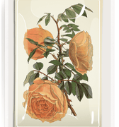 Peach Rose Blossoms Decoupage Glass Tray - Bensgarden.com