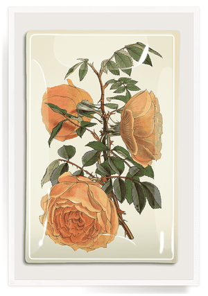 Peach Rose Blossoms Decoupage Glass Tray - Bensgarden.com