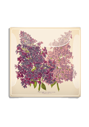 Pink and Purple Lilac Blossoms Decoupage Glass Tray - Bensgarden.com