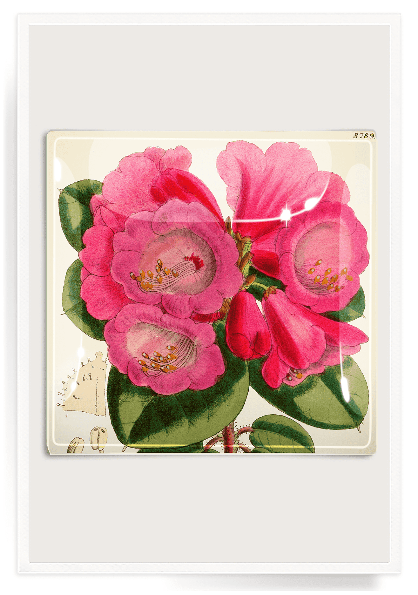 Pink Flower Decoupage Glass Tray - Bensgarden.com