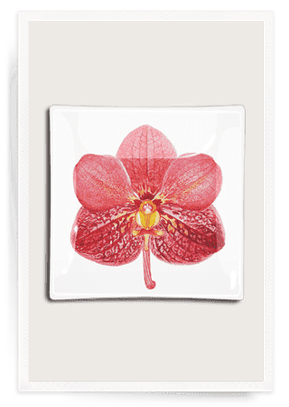 Pink Orchid Decoupage Glass Tray - Bensgarden.com