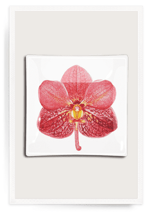 Pink Orchid Decoupage Glass Tray - Bensgarden.com