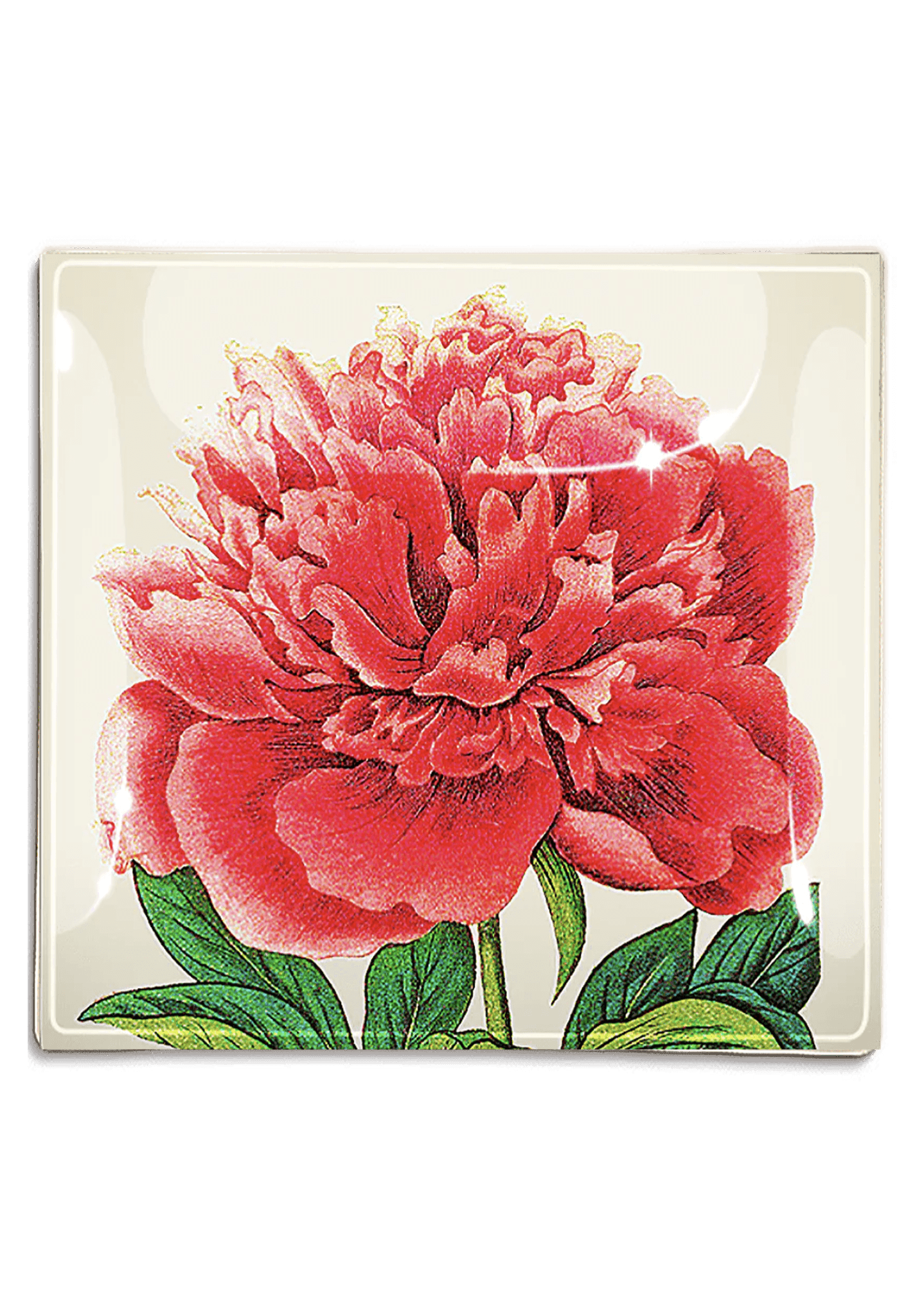 Pink Peony Decoupage Glass Tray - Bensgarden.com