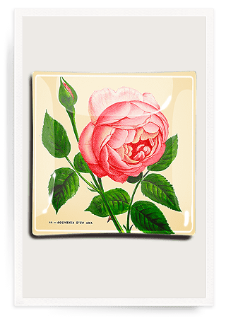 Pink Rose Blossom Decoupage Glass Tray - Bensgarden.com