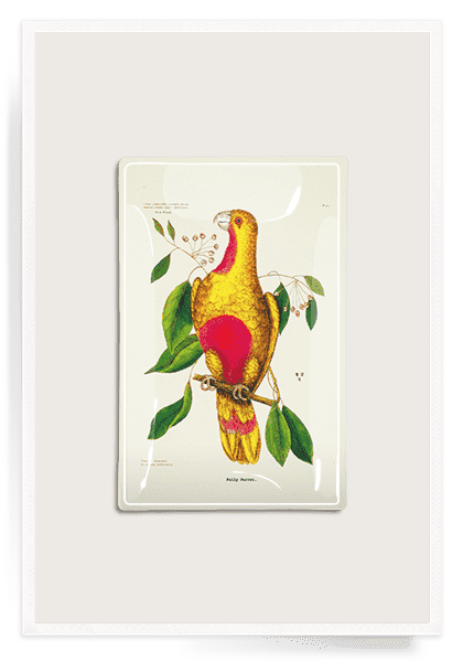 Polly Parrot Decoupage Glass Tray - Bensgarden.com