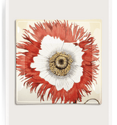 Poppy No. 2 Decoupage Glass Tray - Bensgarden.com