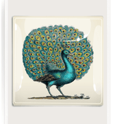 Proud Peacock Decoupage Glass Tray - Bensgarden.com