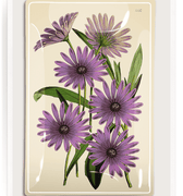 Purple Daisy Blossoms Decoupage Glass Tray - Bensgarden.com